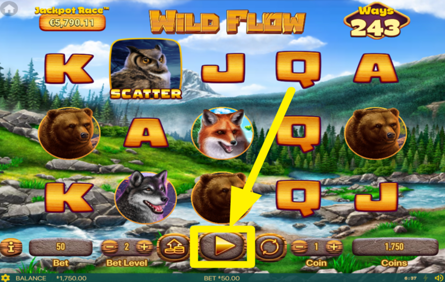 Wild Flow ALLUMEZ L'EXCITATION !