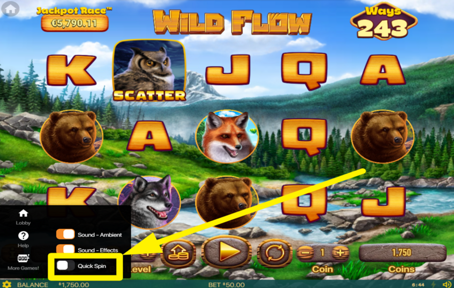 Wild Flow AUGMENTER LA VITESSE.