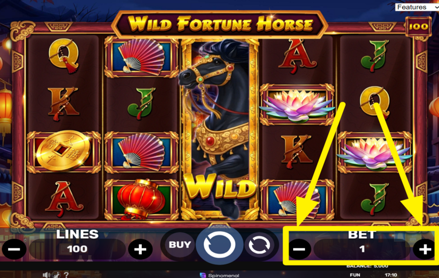 Wild Fortune Horse СДЕЛАЙТЕ СТАВКУ.