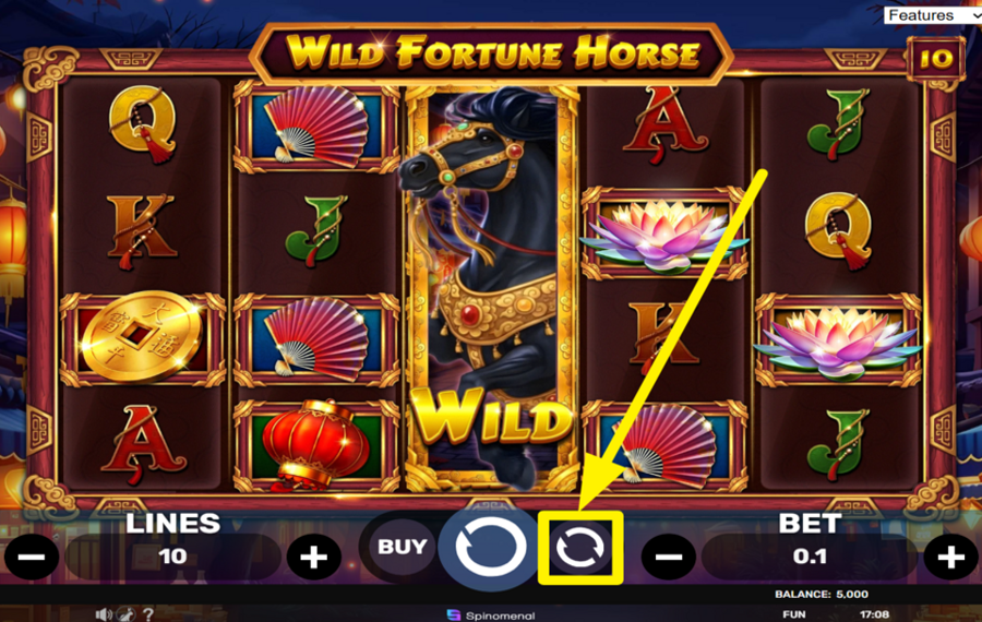 Wild Fortune Horse ВКЛЮЧИТЬ АВТОВОСПРОИЗВЕДЕНИЕ.