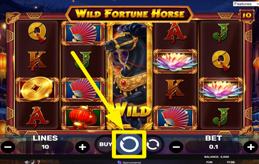 Wild Fortune Horse КРУТИ ЗА ПОБЕДУ!