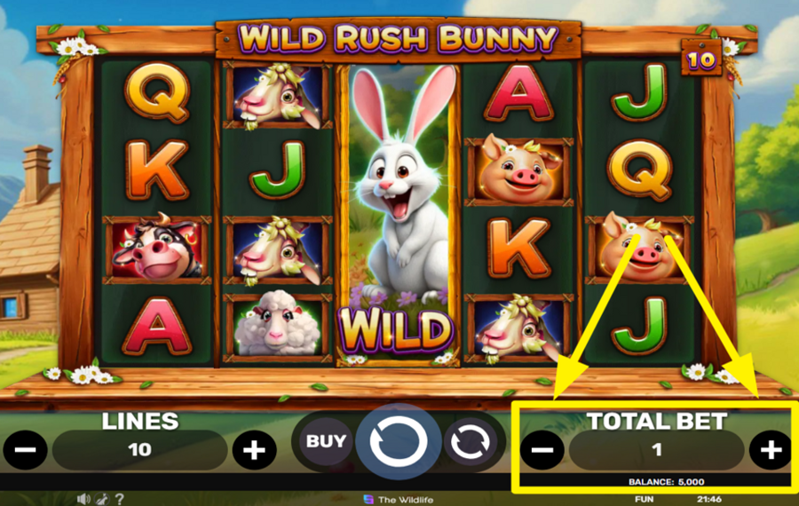 Wild Rush Bunny MODIFIER LE MONTANT TOTAL DE LA MISE.