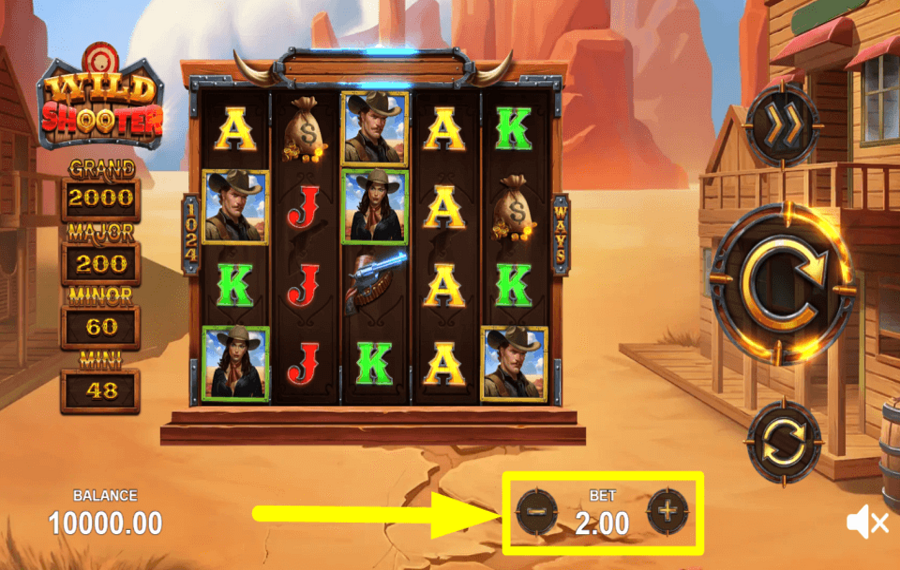 Wild Shooter DETERMINE THE STAKE.