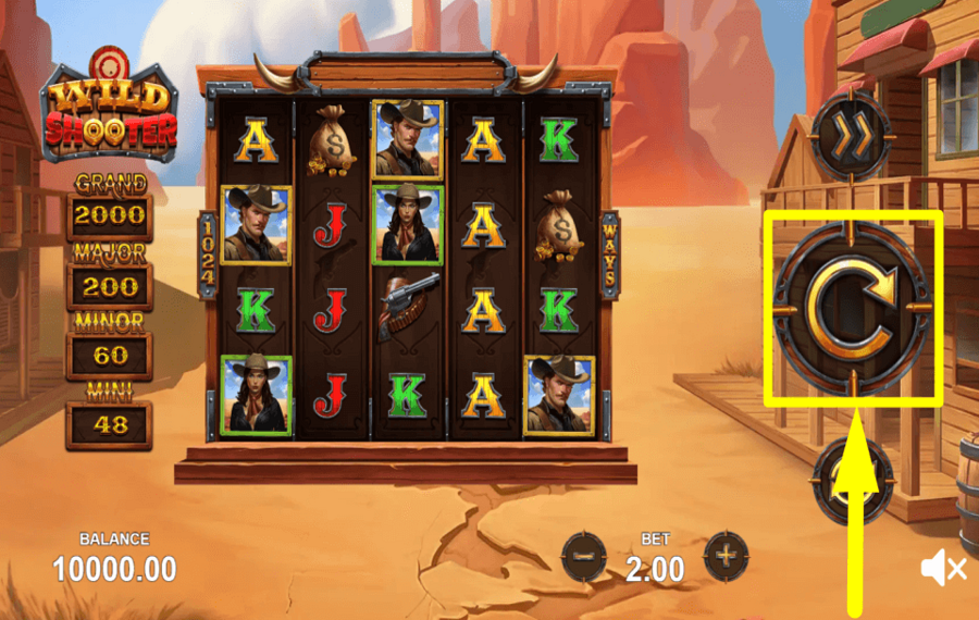 Wild Shooter TIME TO PLAY.