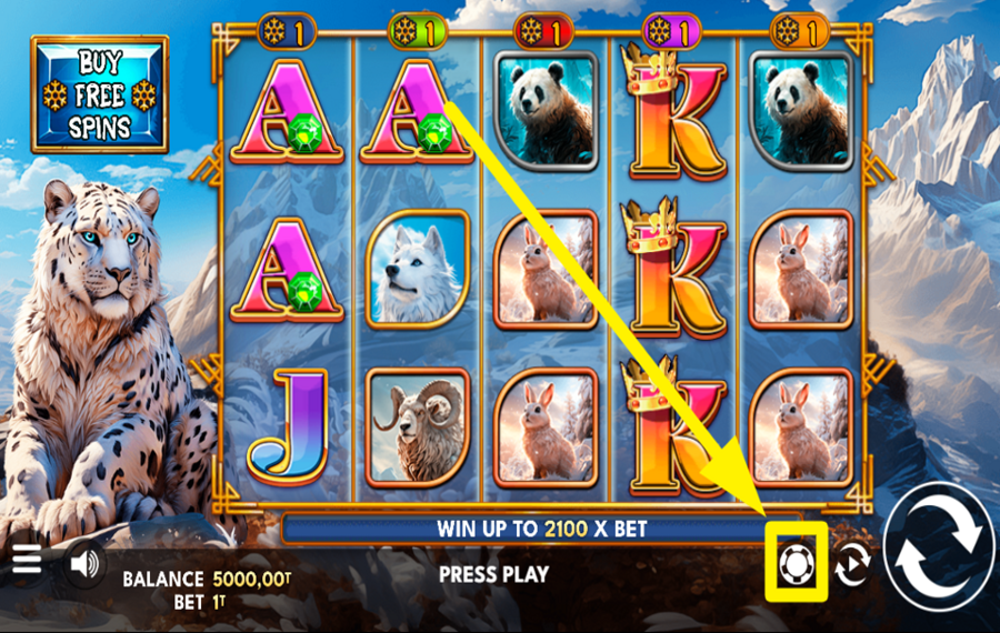 Wild Snow Spin SELECCIONE UN MONTO DE APUESTA.