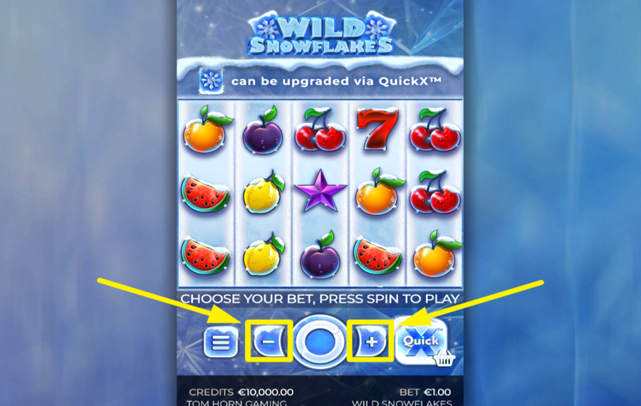 Wild Snowflakes НАЗНАЧИТЬ ЗНАЧЕНИЕ СТАВКИ.