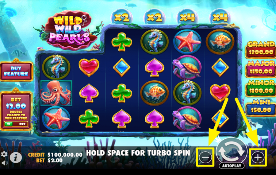 Wild Wild Pearls ADJUST YOUR STAKE.