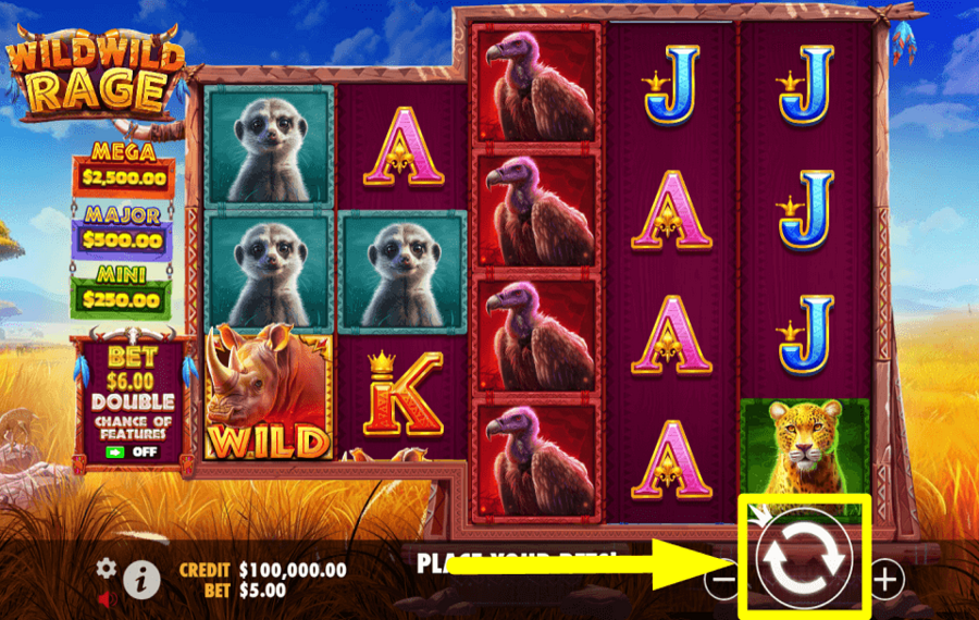 Wild Wild Rage TIME TO PLAY.