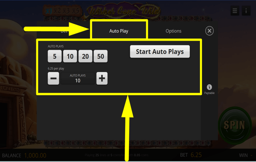 Wishes Gone Wild CONSIDER AUTOPLAY.
