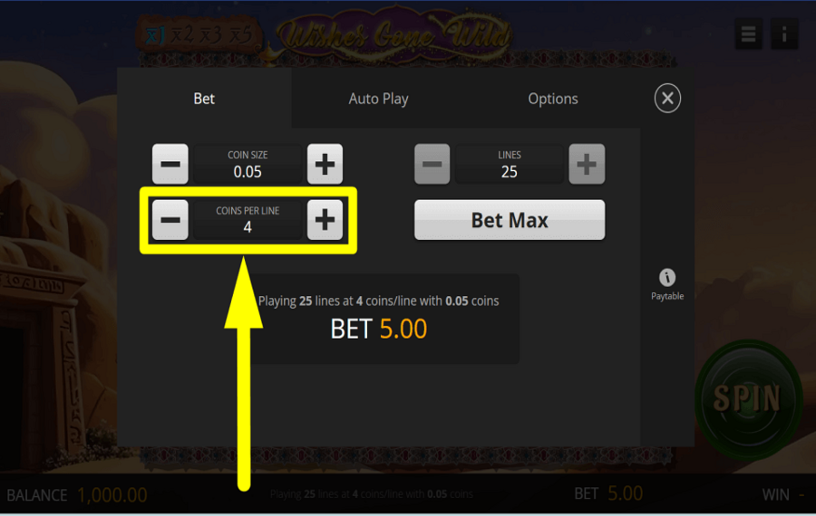 Wishes Gone Wild CAST YOUR COINS.