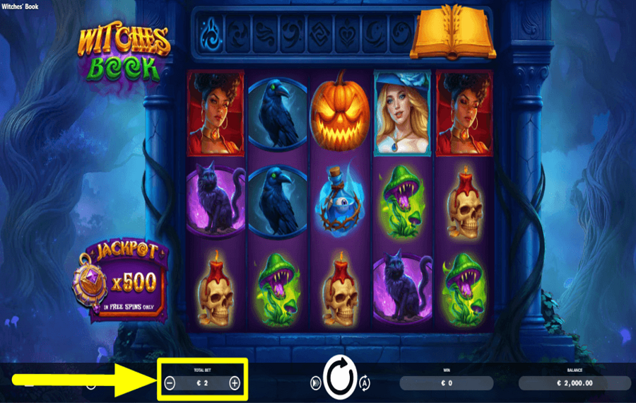 Witches Book DETERMINE THE STAKE.