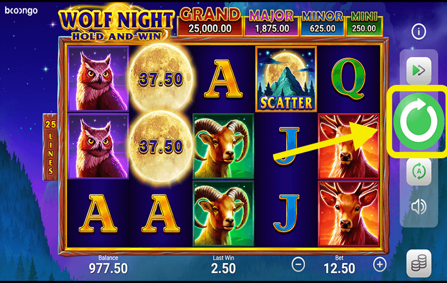 Wolf Night Click/ tap the “Spin” button.