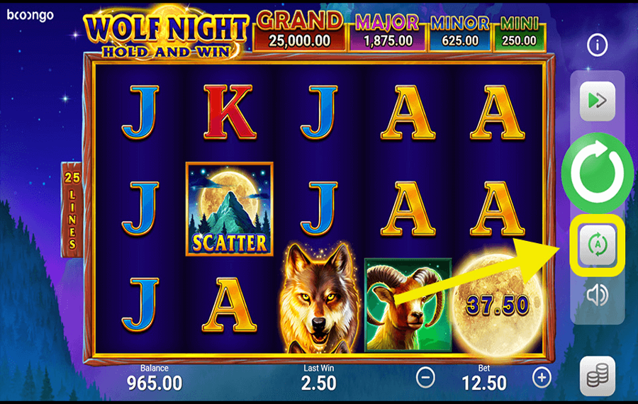 Wolf Night Using the optional “Autoplay” feature.