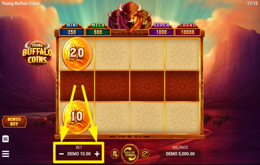 Young Buffalo Coins DECIDE ON YOUR STAKE.