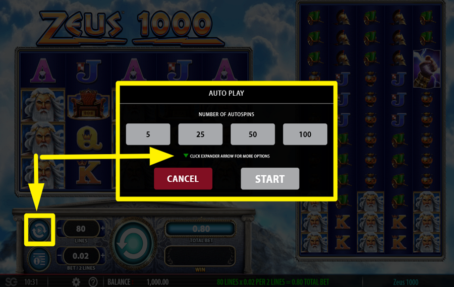 Zeus 1000 ВКЛЮЧИТЬ АВТОИГРУ.