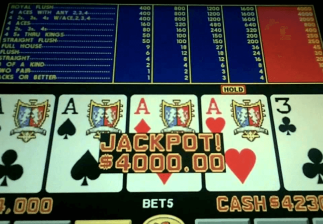 Bighorn Casino Jackpot Game 