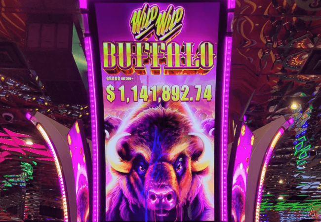 Casino Fandango Buffalo Wild Wild 
