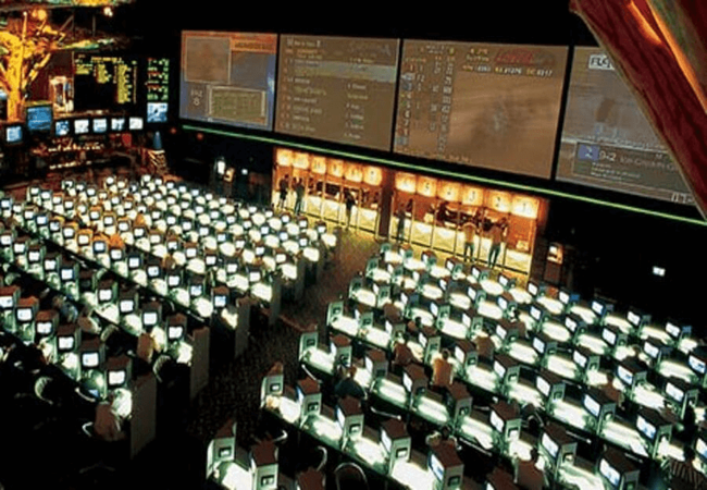 Casino of the Earth race book 