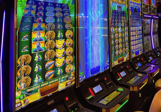 Mohegan Casino Jungle Roll Slot Machines 