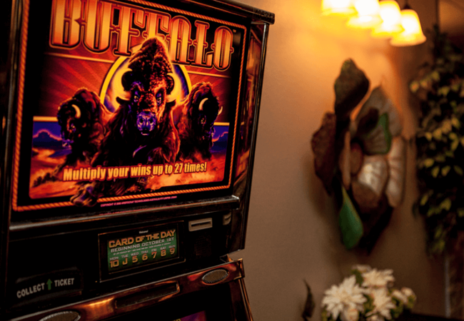 Mollys Casino Gaming Machine 