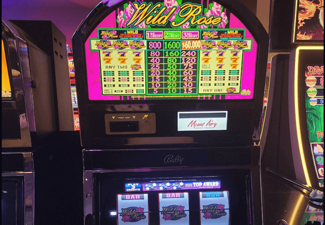 Mount Airy Casino WIld Rose Slot 