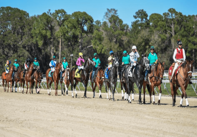 Tampa Bay Downs Jockeys and Horses 