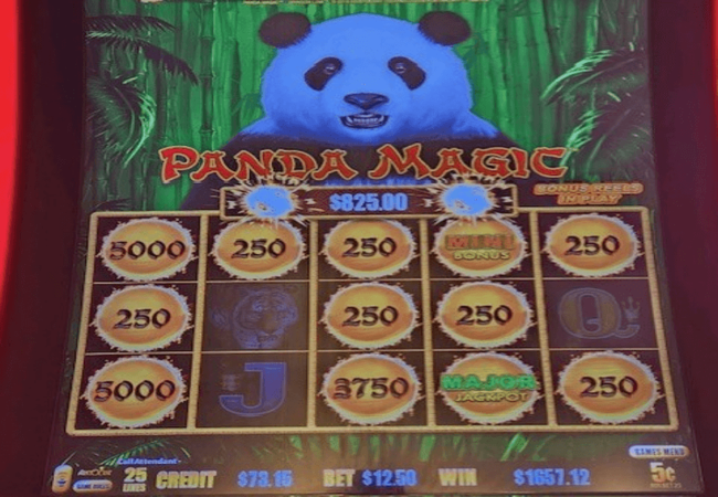 The New Pioneer Hotel and Casino Panda Slot 