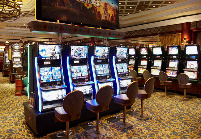 Wild Coast Sun slot3 