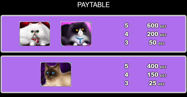 100 cats paytable paytable