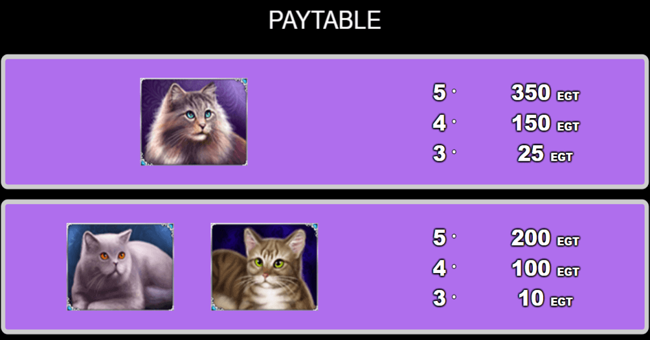 100 cats paytable2 paytable