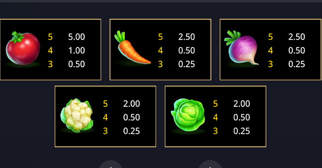 5 on the farm rush express paytable 2 paytable