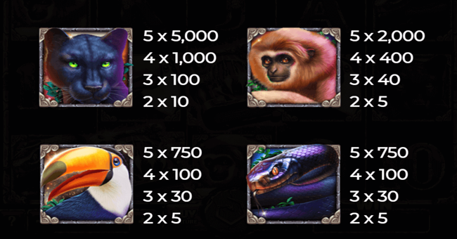 book of panther paytable 1 paytable