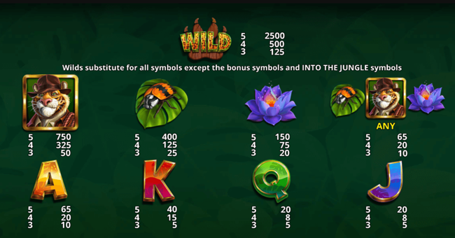 into the jungle paytable paytable