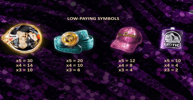 joe exotic paytable 2 paytable
