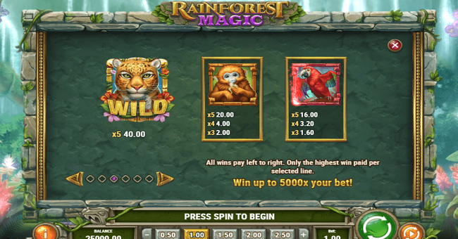 rainforest magic paytable 1 paytable