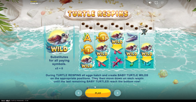 turtle paradise paytable 4 paytable