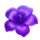 4 fairy flowers hold and win scatter 4 symbol icon