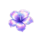 4 fairy flowers hold and win scatter 5 symbol icon