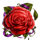 ainsworth arabian rose scatter symbol icon