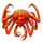 bering hunter scatter symbol icon
