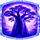 cheetah wild scatter symbol icon