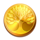 circle of sylvan scatter 6 symbol icon