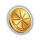citrus splash deluxe coin scatter symbol icon