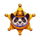 cowboy panda hold and win badge scatter symbol icon