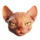 extreme paw scatter 5 symbol icon