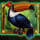 fancy jungle scatter symbol icon