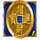 fortune pays scatter symbol icon