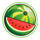 fruit shop powerpoints watermelon symbol icon