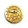 golden catch scatter symbol icon