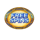 magic treasures tiger scatter 2 symbol icon